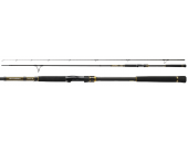 Спиннинг Daiwa NEW Morethan Branzino AGS 110 H-J