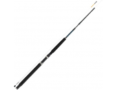 Спиннинг Daiwa Exceler Interline Downrigger