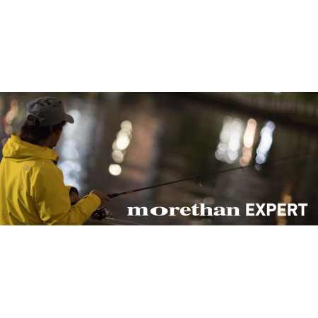 Morethan Expert AGS