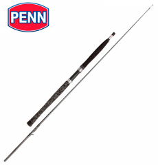 Удилище для ловли сома Penn Legion Cat Silver Inliner 200 (300гр)